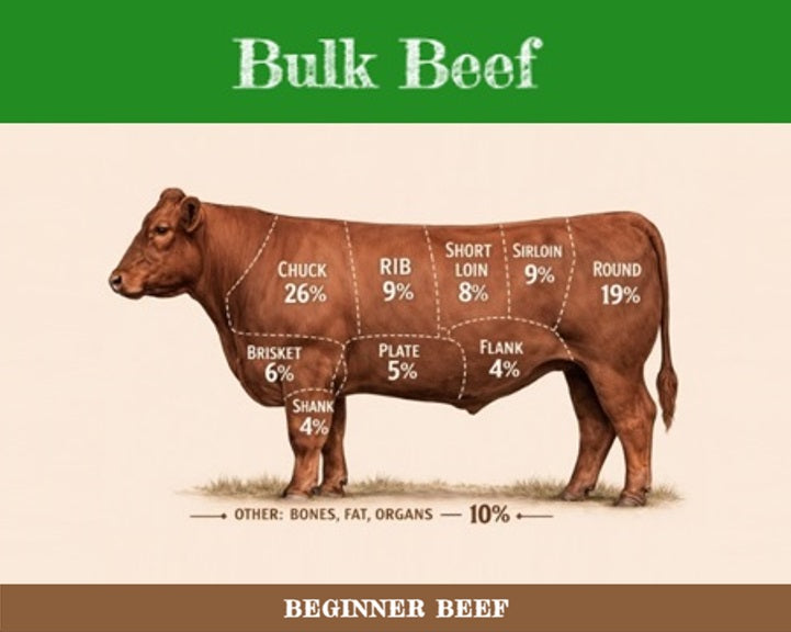 2026 - Beginner Beef: 25-30lbs