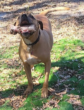 Load image into Gallery viewer, 2025 FREE Dog Bones
