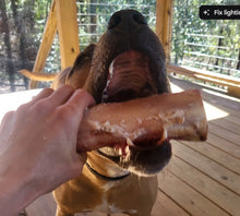 Load image into Gallery viewer, 2025 FREE Dog Bones
