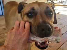 Load image into Gallery viewer, 2025 FREE Dog Bones
