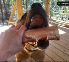 Load image into Gallery viewer, December 2025 - Dog Bones
